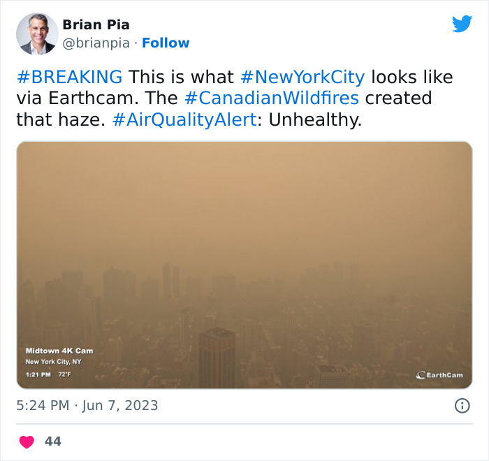 'Not An Apocalyptic Movie Scene': People Share What NYC Looks Like Right Now 'Not An Apocalyptic Movie Scene': People Share What NYC Looks Like Right Now