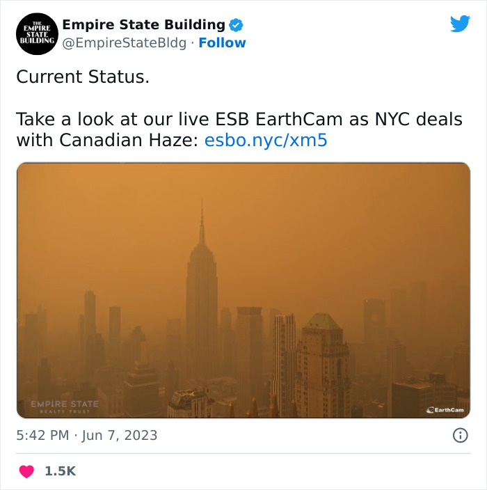 'Not An Apocalyptic Movie Scene': People Share What NYC Looks Like Right Now 'Not An Apocalyptic Movie Scene': People Share What NYC Looks Like Right Now