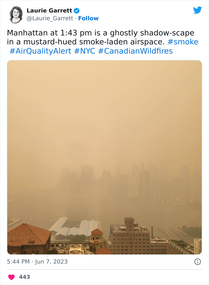 'Not An Apocalyptic Movie Scene': People Share What NYC Looks Like Right Now 'Not An Apocalyptic Movie Scene': People Share What NYC Looks Like Right Now
