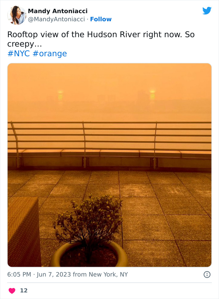 'Not An Apocalyptic Movie Scene': People Share What NYC Looks Like Right Now 'Not An Apocalyptic Movie Scene': People Share What NYC Looks Like Right Now