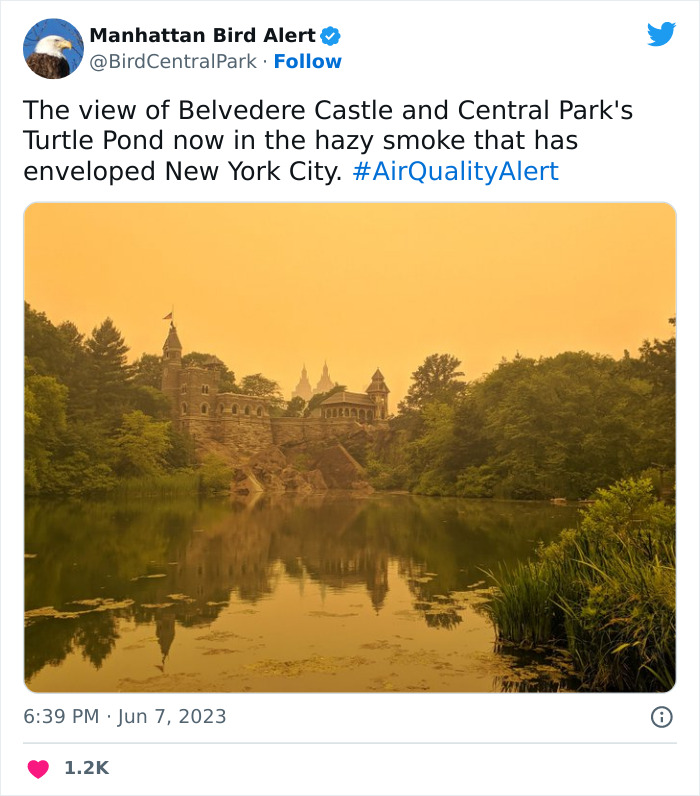 'Not An Apocalyptic Movie Scene': People Share What NYC Looks Like Right Now 'Not An Apocalyptic Movie Scene': People Share What NYC Looks Like Right Now