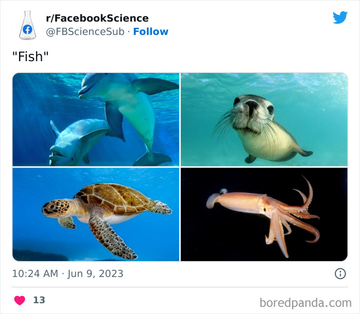 Dumb-Facebook-Science