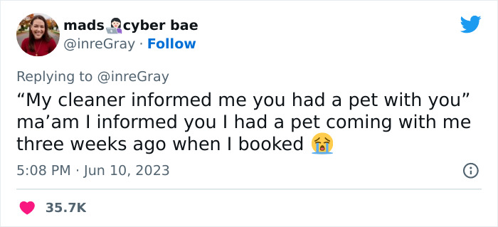 Airbnb Host Tries Gaslighting Guest About Their Pet Policy To Extract More Money, Blames It On A 'Glitch' After Being Proven Wrong