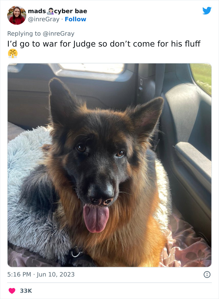 Airbnb Host Tries Gaslighting Guest About Their Pet Policy To Extract More Money, Blames It On A 'Glitch' After Being Proven Wrong