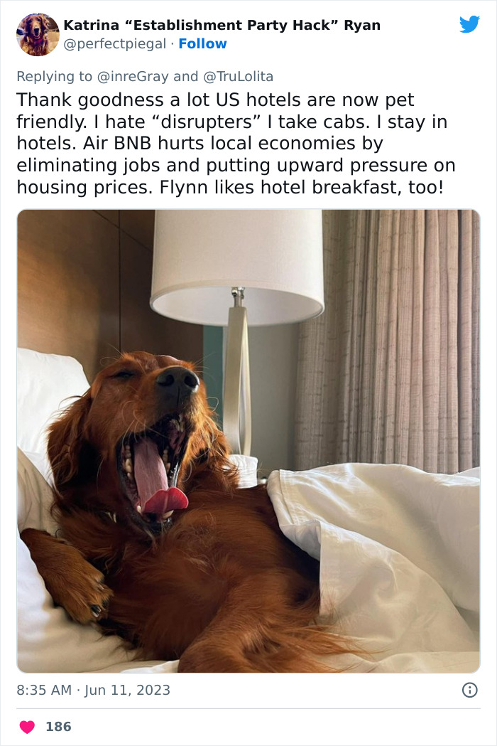 Airbnb Host Tries Gaslighting Guest About Their Pet Policy To Extract More Money, Blames It On A 'Glitch' After Being Proven Wrong