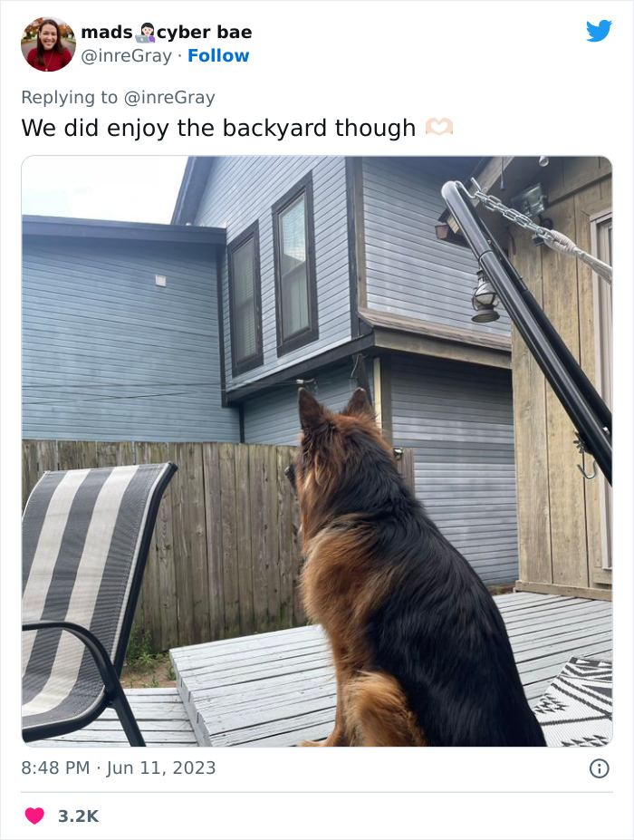 Airbnb Host Tries Gaslighting Guest About Their Pet Policy To Extract More Money, Blames It On A 'Glitch' After Being Proven Wrong