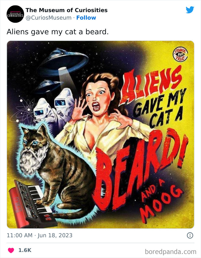 Interesting-Pics-The-Museum-Of-Curiosities