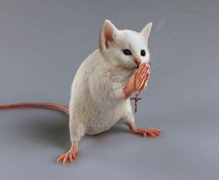 An Artist Creates Photo Collages With Cats And They're Weirdly Purrrfect (29 Pics)