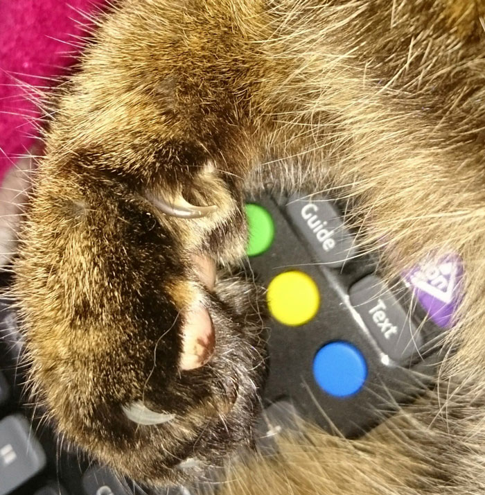 30 Things People Are Proud Of But They Could Be Considered A Weird Flex, Shared In This Online Group