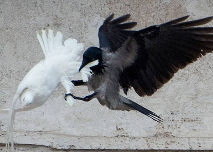 "What Are Some Events In Recorded History That Are Extremely Hard To Believe, But Without A Doubt Actually Happened?" (40 Pics)