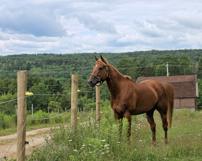 Racetrack Refuses Woman The Same Deal They Had With Her Dad, She Refuses Them The Right To Her Road