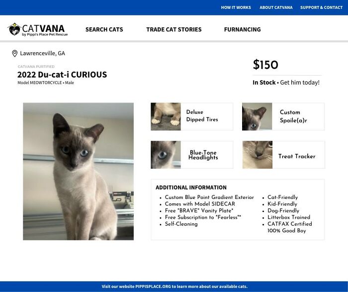 This Shelter Described Their Cats That Are Up For Adoption As Used Cars And The Result Is Purrrfect (10 Pics)