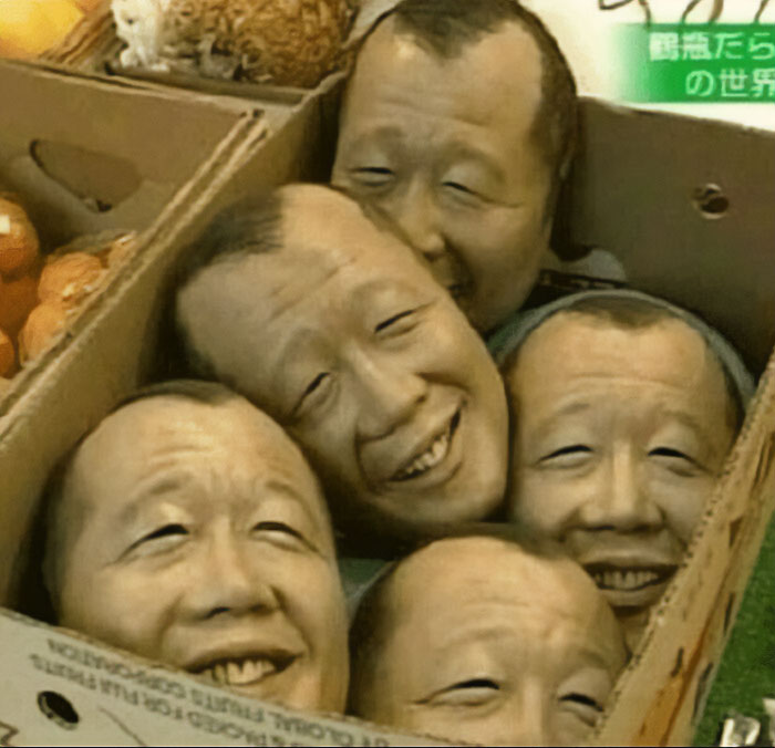 God I Love Boxes I’m Just Like A Cat I Love Climbing Them And Just Being Inside… It’s Like A Nice Hug That Lasts As Long As I Want