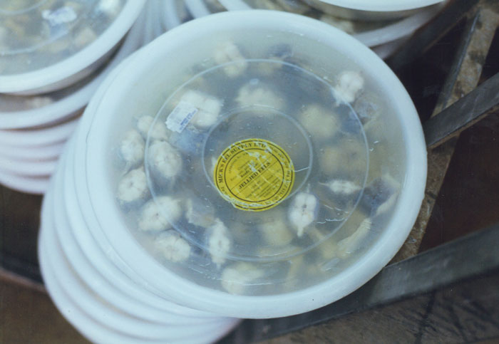 This Viral Thread Has Locals Pointing Out The Worst Foods In Their Country (30 Answers)