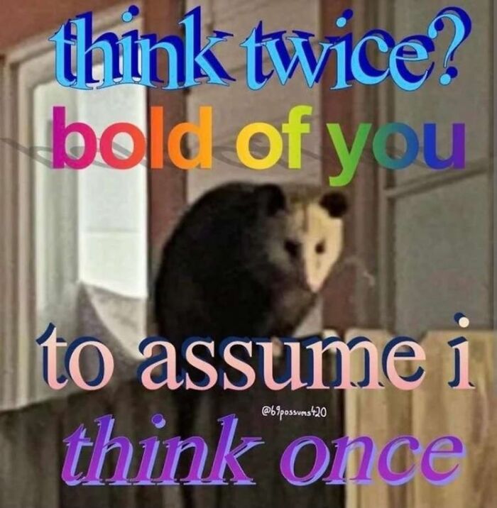 13 Possum Memes For My Mentally Dying Besties