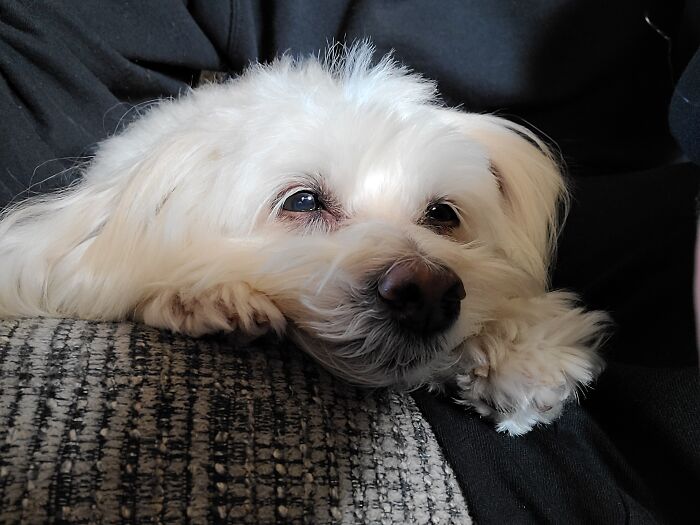 Mattie. Just. Chillin