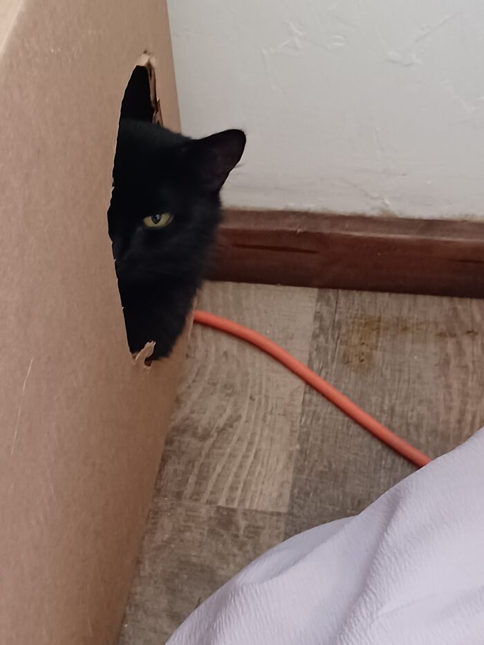 So Done Giving Birth