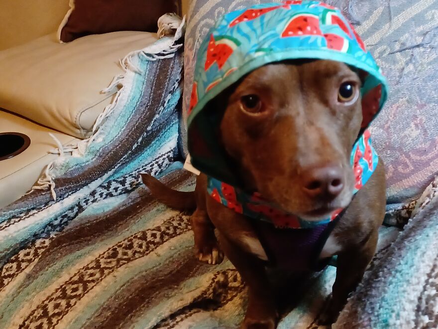 Precious, Thats My Baby!