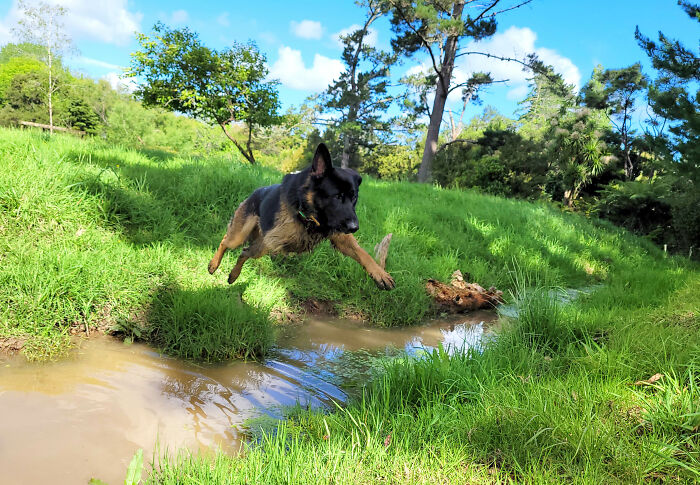 Losing A Leg Hasn't Slowed Him Down