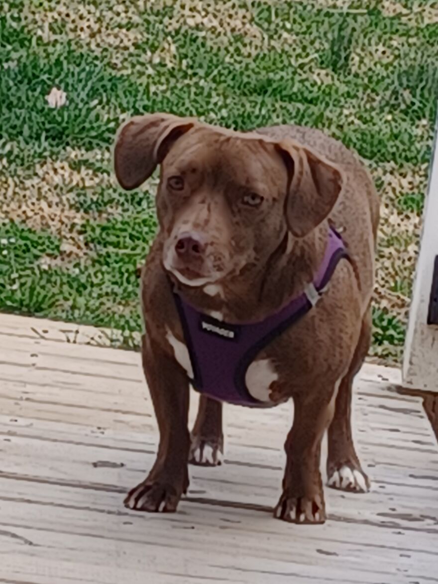 Precious, Thats My Baby!