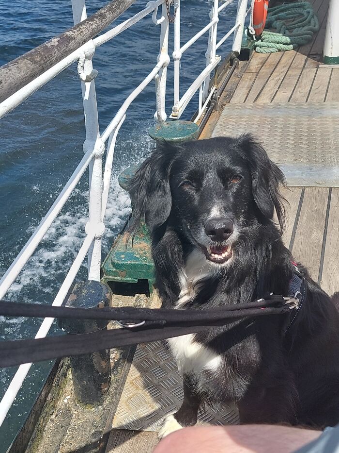 Leia Loving The Breeze On Lake Windermere