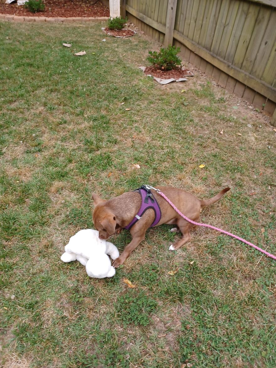 Precious, Thats My Baby!