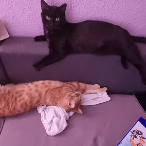 nadinejaenike avatar