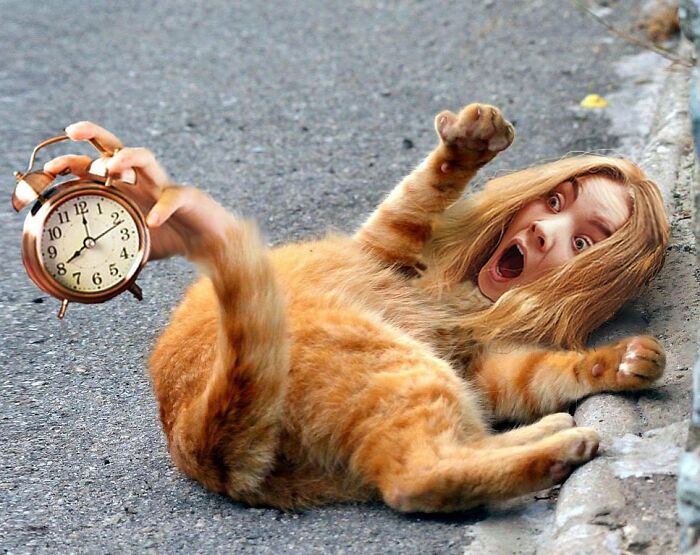 An Artist Creates Photo Collages With Cats And They're Weirdly Purrrfect (29 Pics)