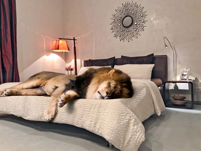 Folks In This Online Group Are Surprised Some People Actually Want To Do These 30 Stupid Things