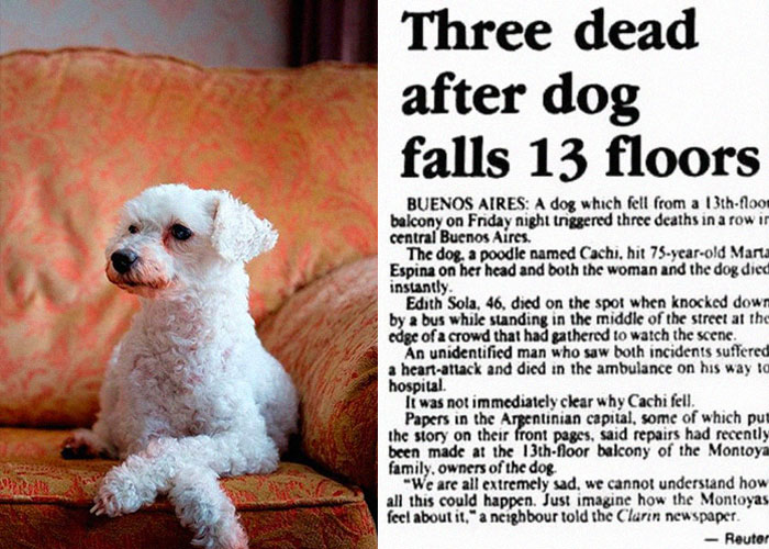 "What Are Some Events In Recorded History That Are Extremely Hard To Believe, But Without A Doubt Actually Happened?" (40 Pics)