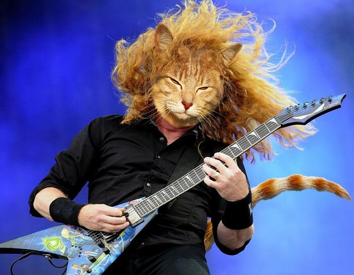 An Artist Creates Photo Collages With Cats And They're Weirdly Purrrfect (29 Pics)