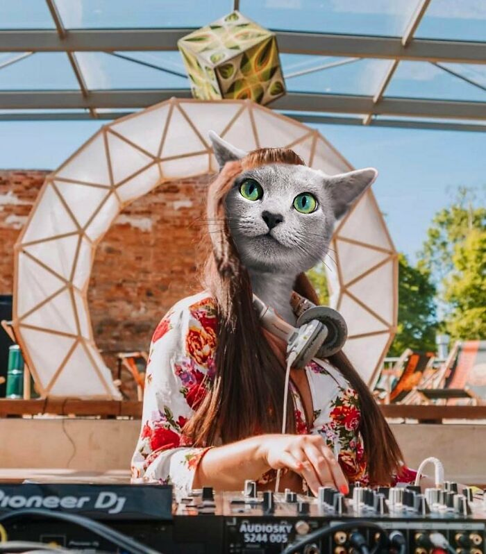 An Artist Creates Photo Collages With Cats And They're Weirdly Purrrfect (29 Pics)