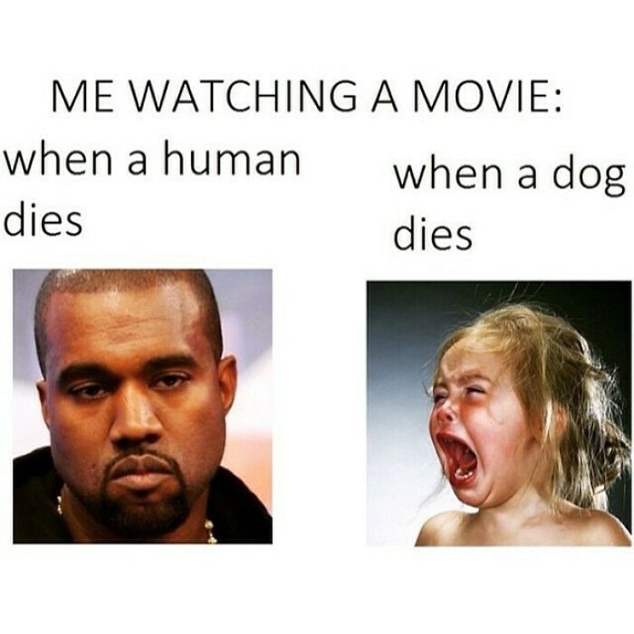 Two contrasting reactions in a hilarious meme about watching a movie when humans and dogs die.
