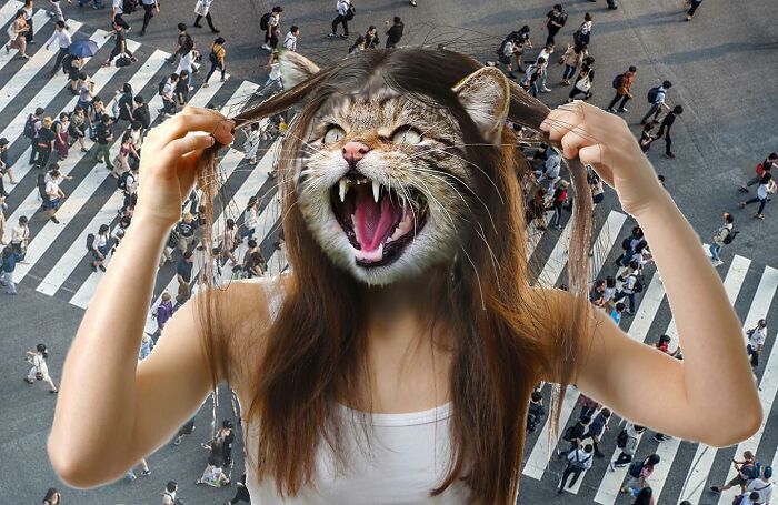 An Artist Creates Photo Collages With Cats And They're Weirdly Purrrfect (29 Pics)