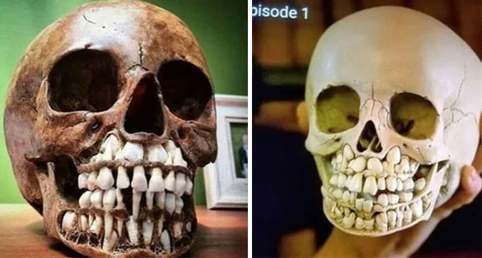 Didn't Need To See This