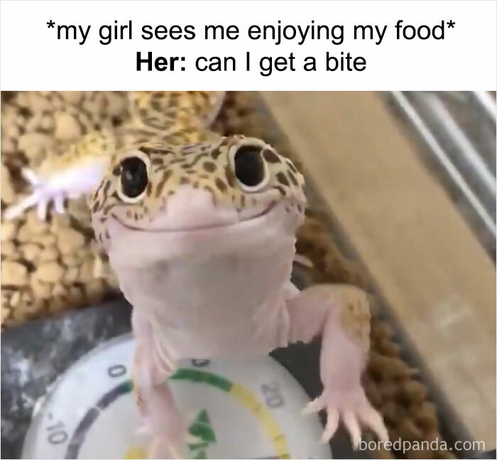 Wholesome-Romantic-Relationship-Memes