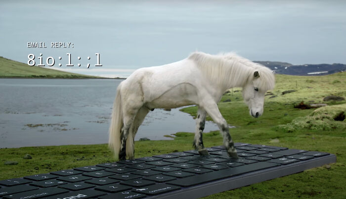 Icelandic horse on giant keyboard by a lake, playfully typing an email reply.