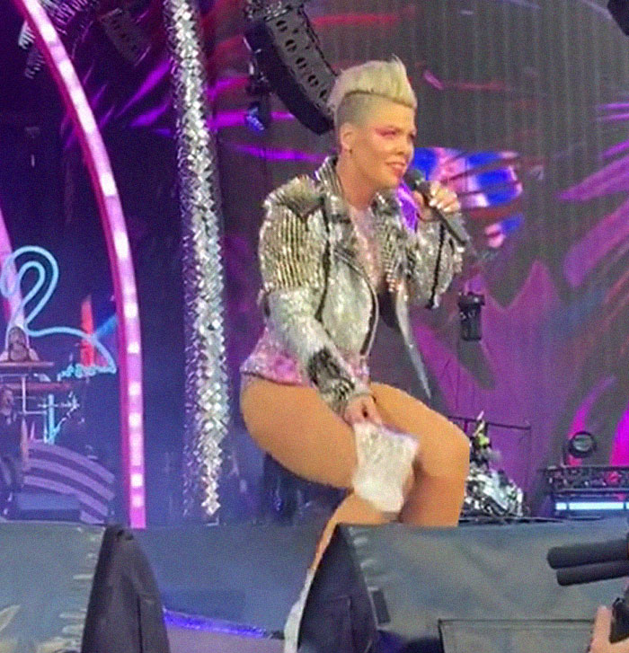 Pink&rsquo;s Fan Throws Late Mother&rsquo;s Ashes At Singer During Concert, She Responds