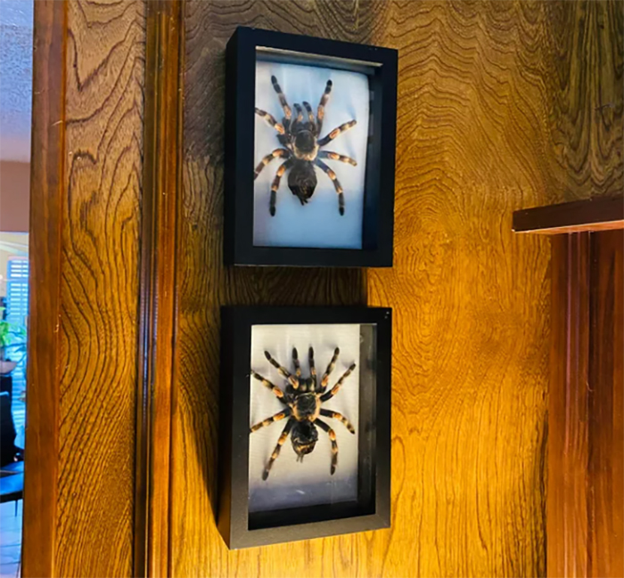 Guy Is Too Embarrassed To Let Anyone See Girlfriend's 'Childish' Apartment, Drama Ensues