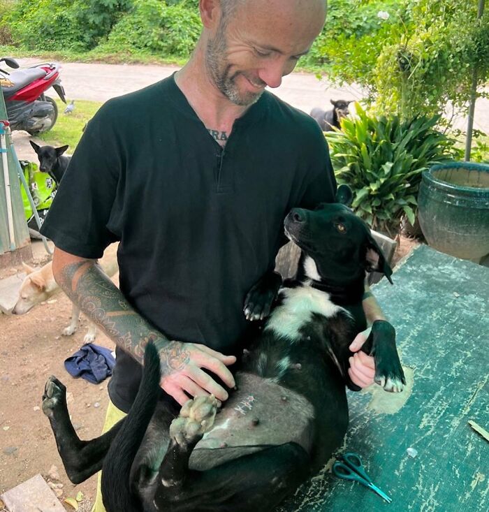 Man Finds His True Happiness Saving Stray Dogs In Thailand (20 Pics) Man Finds His True Happiness Saving Stray Dogs In Thailand (20 Pics)