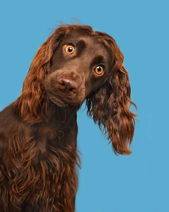 35 Selected Best Images Of Animals, As Shared By This Instagram Page