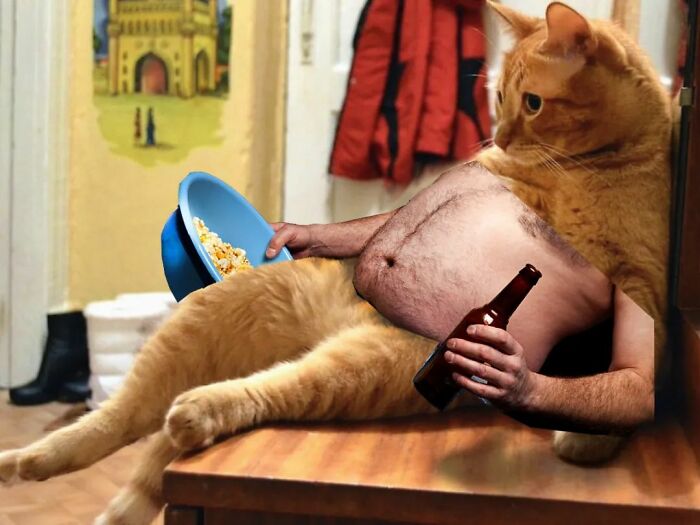 An Artist Creates Photo Collages With Cats And They're Weirdly Purrrfect (29 Pics)