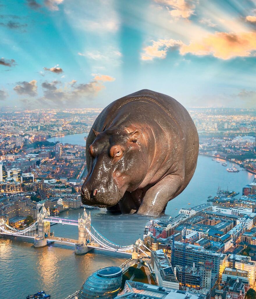 Giant Animals Invade Cities Through Two Digital Artists (16 Pics)