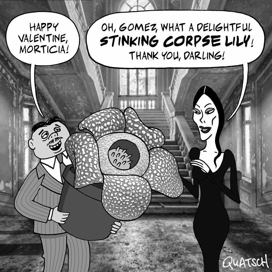 There's No Way Not To Like These Funny And Ridiculous Quatsch Comics (25 New Pics)