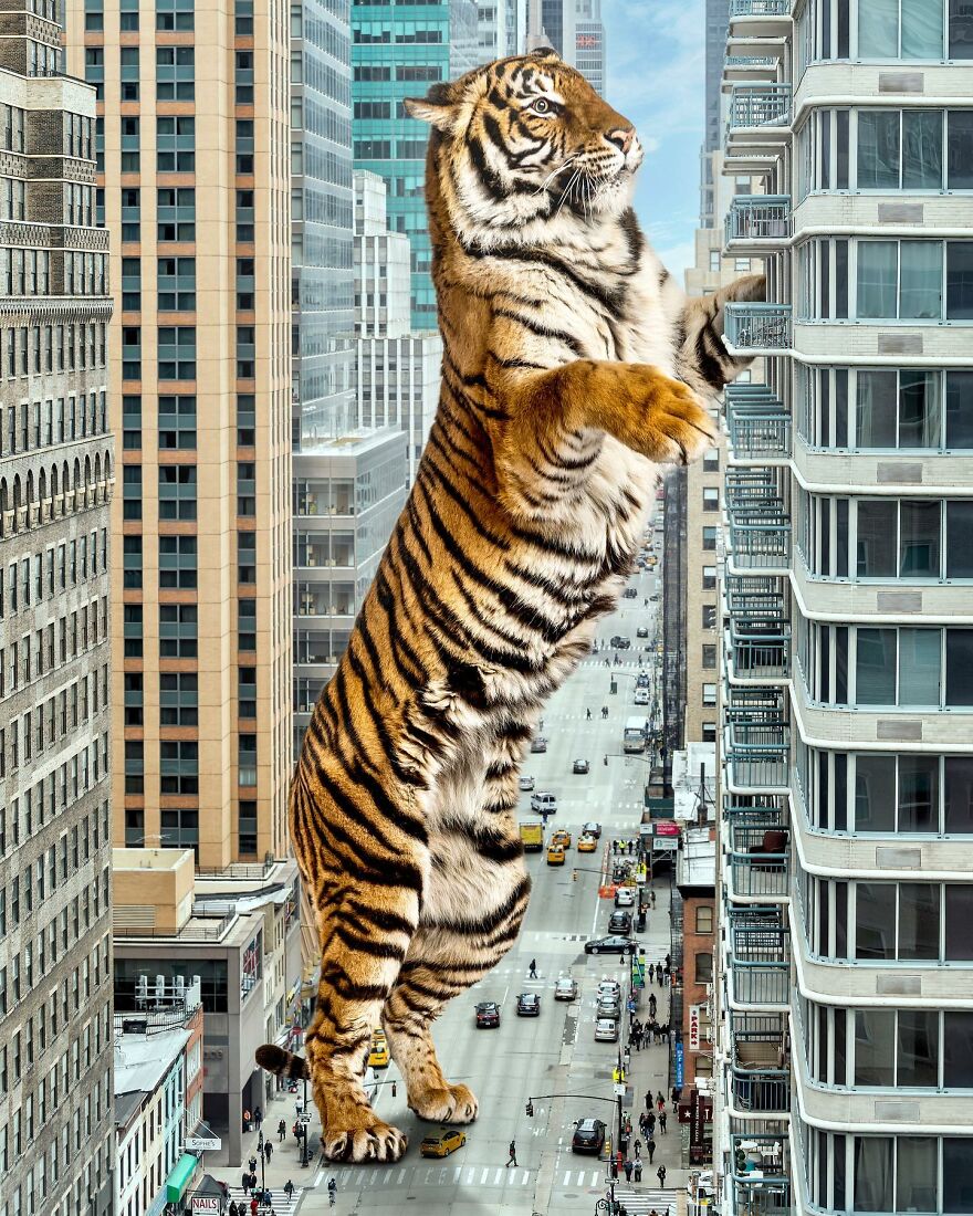 Giant Animals Invade Cities Through Two Digital Artists (16 Pics)