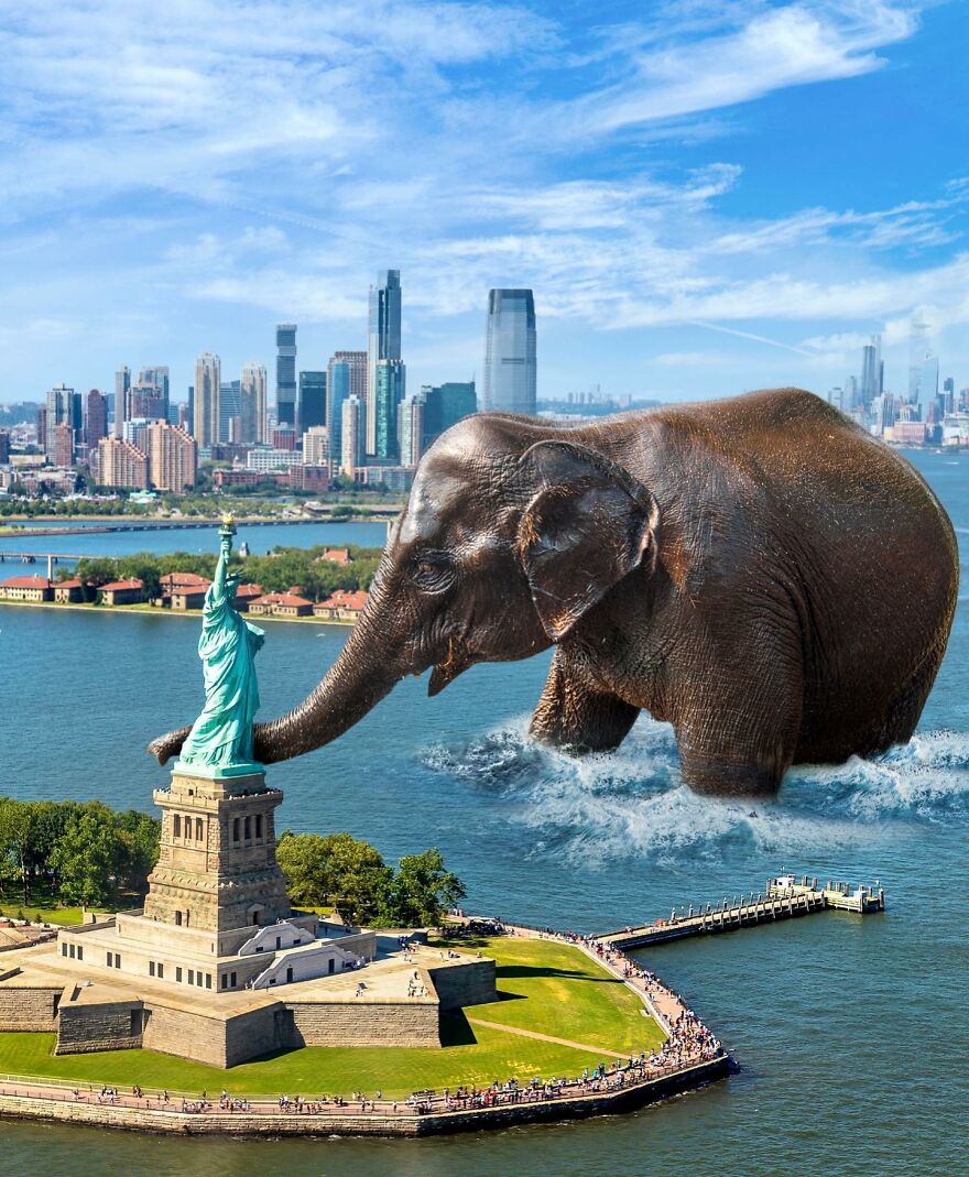 Giant Animals Invade Cities Through Two Digital Artists (16 Pics)