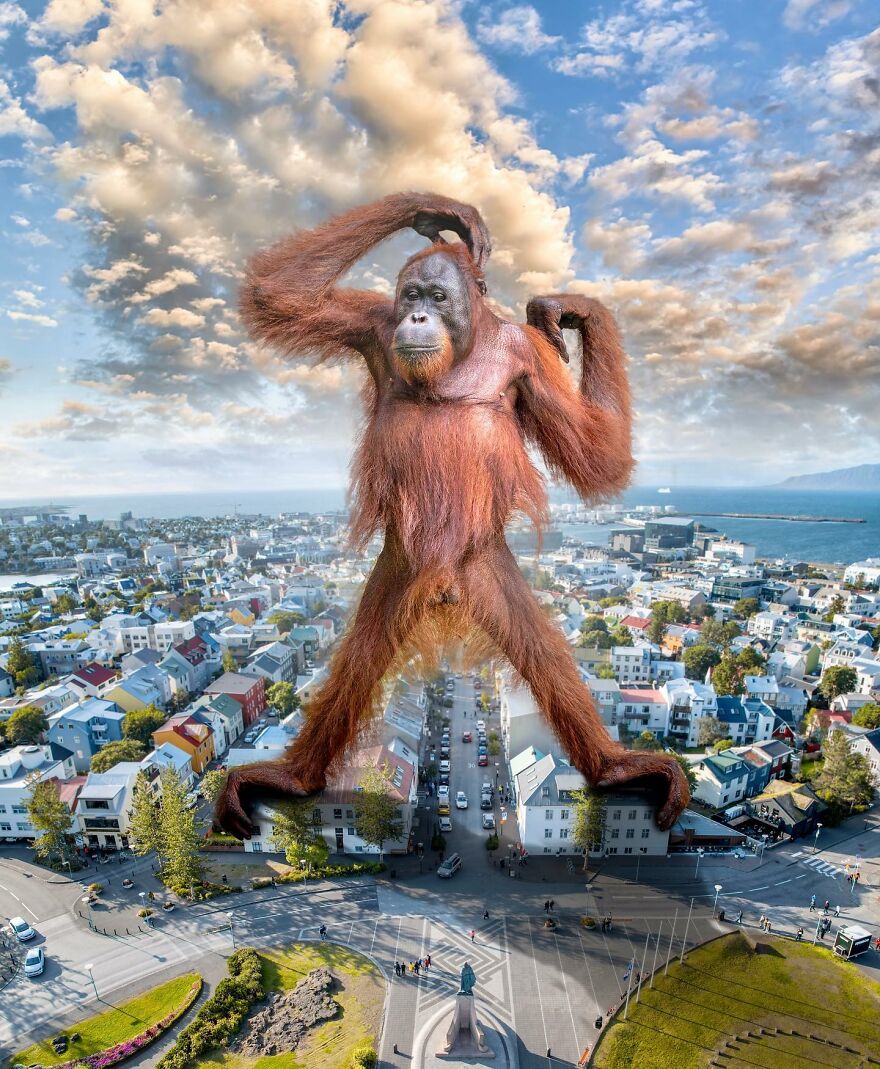 Giant Animals Invade Cities Through Two Digital Artists (16 Pics)