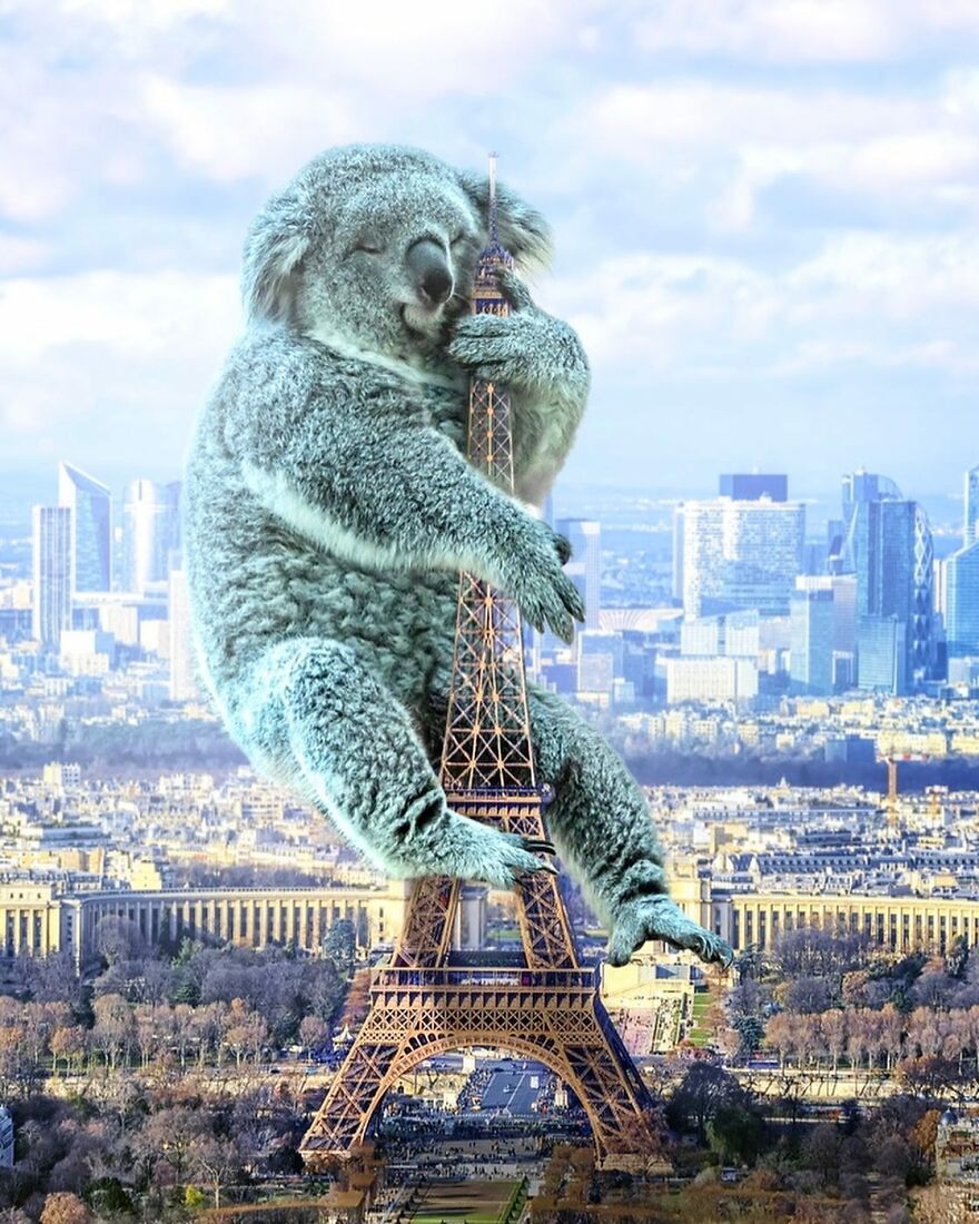 Giant Animals Invade Cities Through Two Digital Artists (16 Pics)
