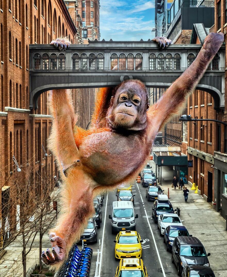 Giant Animals Invade Cities Through Two Digital Artists (16 Pics)