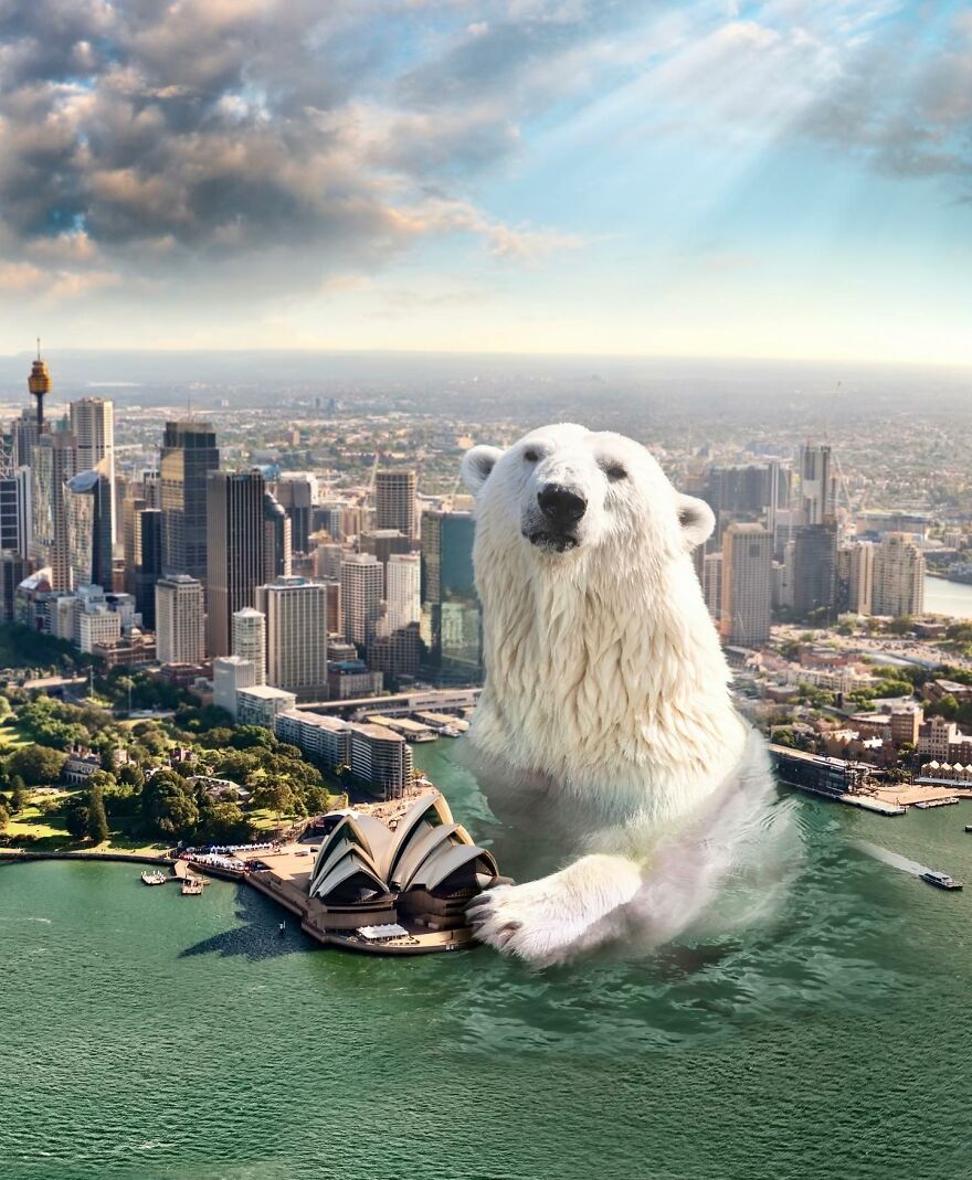 Giant Animals Invade Cities Through Two Digital Artists (16 Pics)